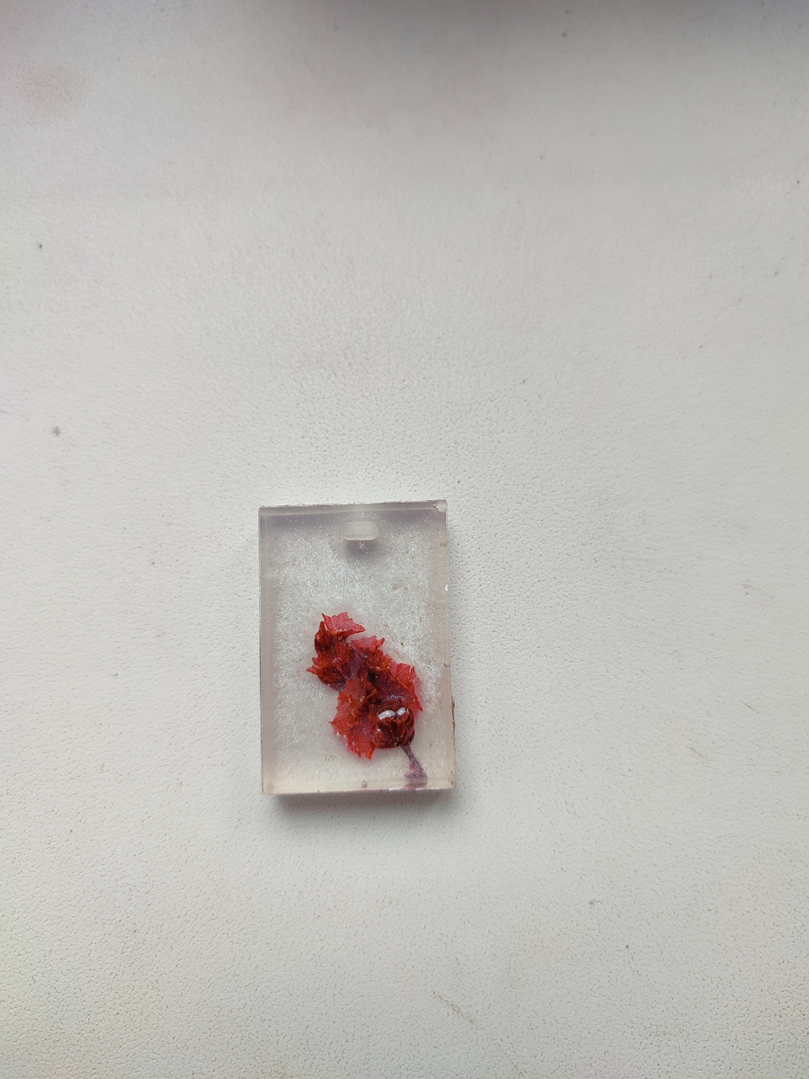 Сухоцвет в ювелирной смола, основа для кулона