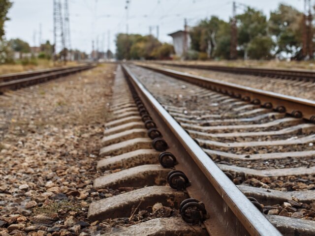    Фото: 123RF/marushy