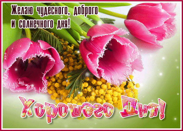 Из интернета для хорошего настроения 🫶🏻💖