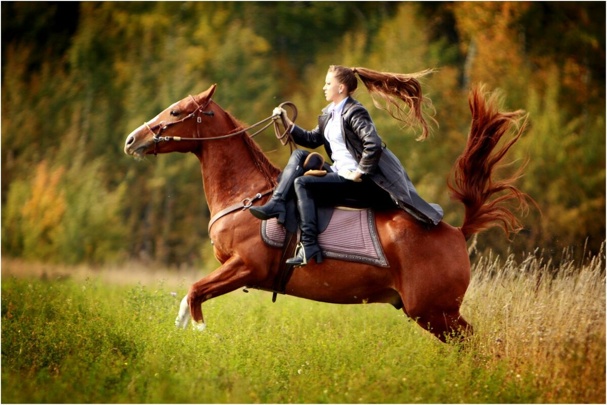 То самое дамское седло