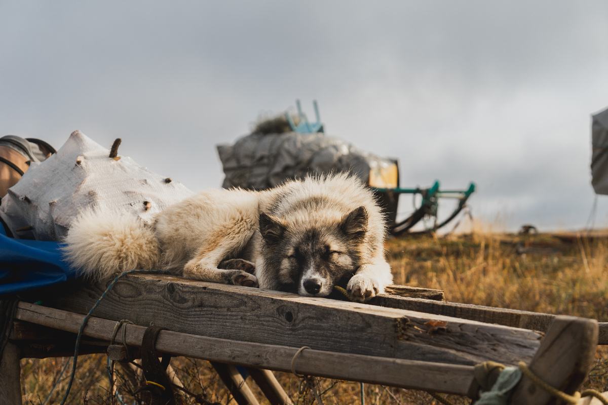 Фото: Ksenya_89/Shutterstock/Fotodom