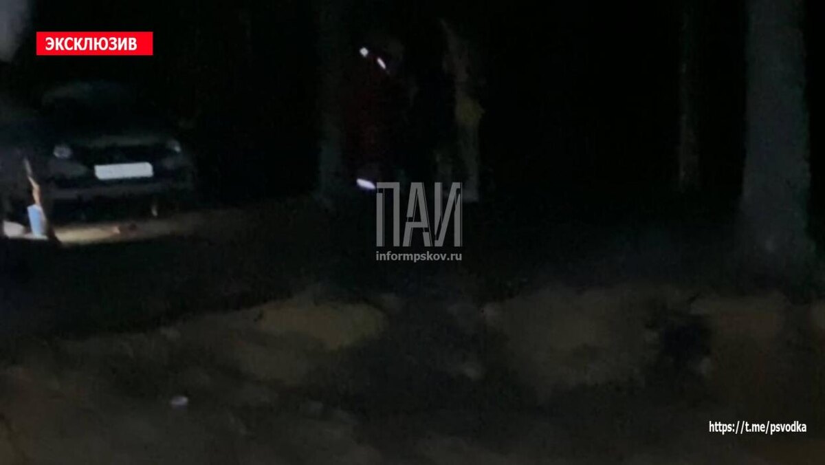 Автомобиль скатился в озеро в Гдовском районе
Фото: Telegram-канал «Псковская сводка. ПАИ»