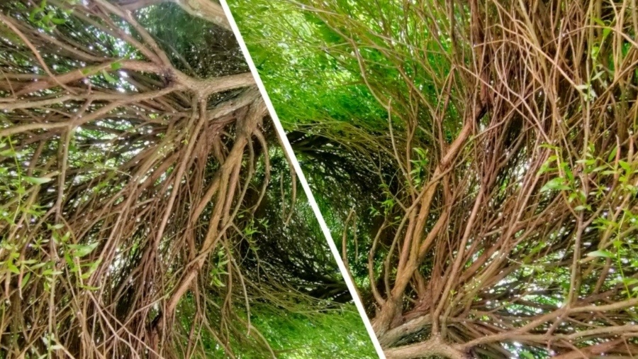 Коллаж, скрин комментария к публикации на этом канале