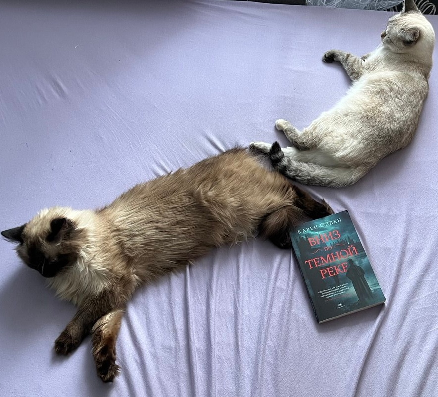 Сегодня читаемую книгу девчонки взялись представлять вдвоём. 