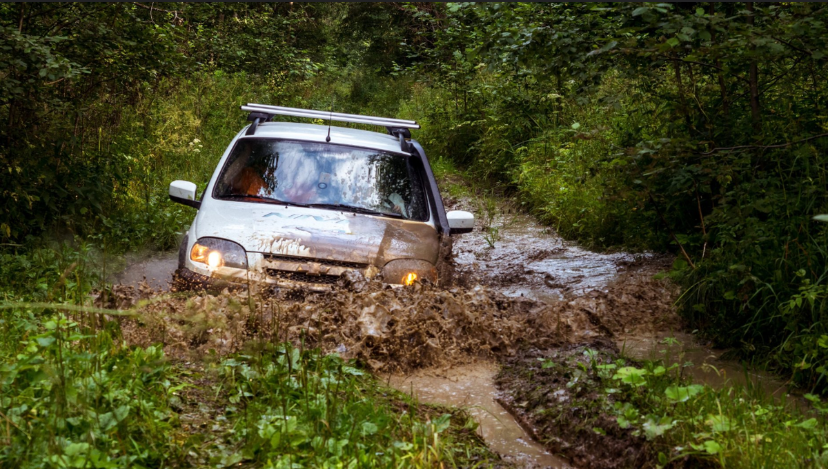 Танки грязи не боятся. 