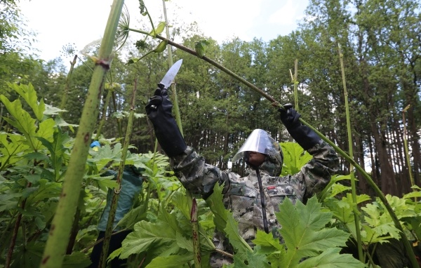 Фото: РИА Новости