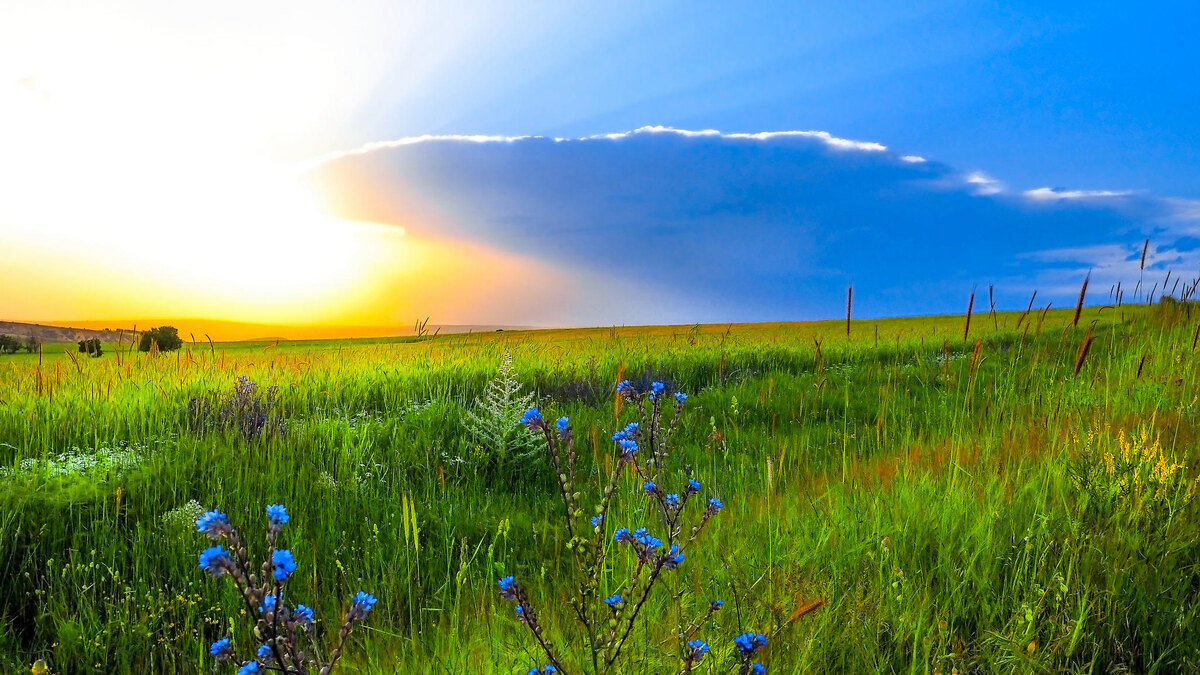 картинка из интернета