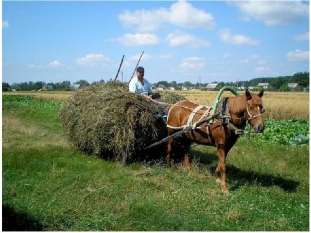 картинка из интернета