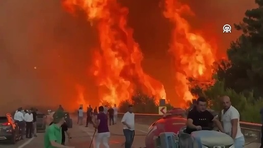 Источник https://avatars.dzeninfra.ru/get-zen_doc/271828/pub_6885f1dcd1918401ca77fada_6885f1eac7b61b670f946813/smart_crop_516x290