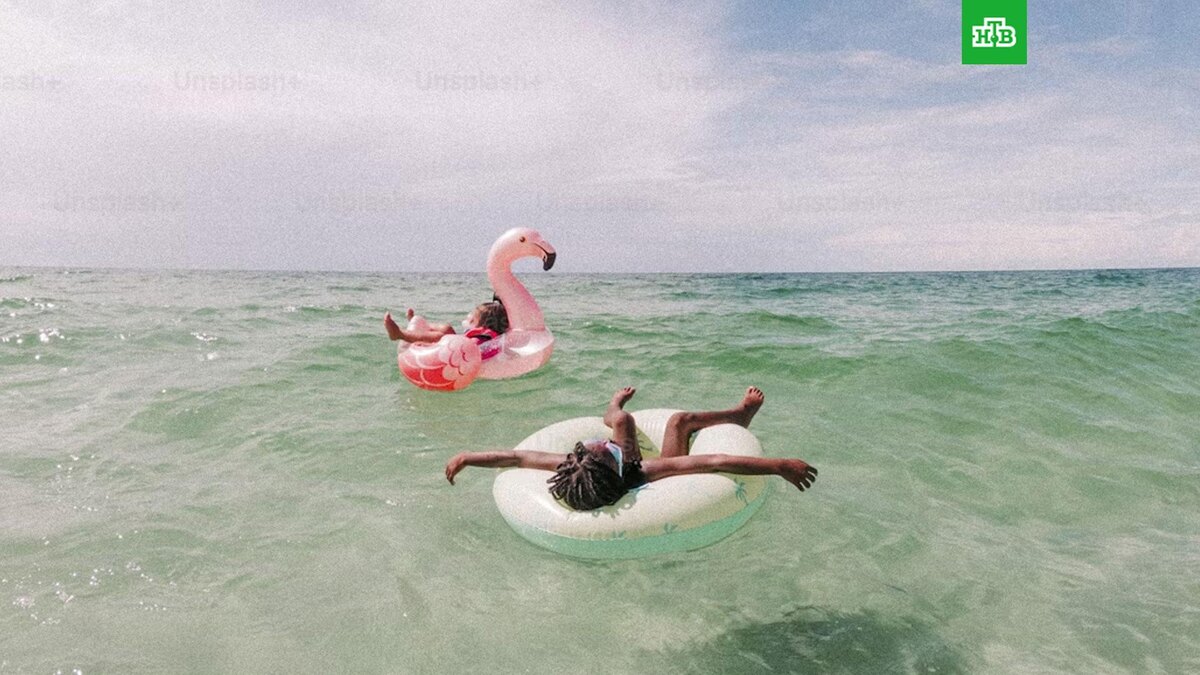    Фото: Colin + Meg / unsplash.com