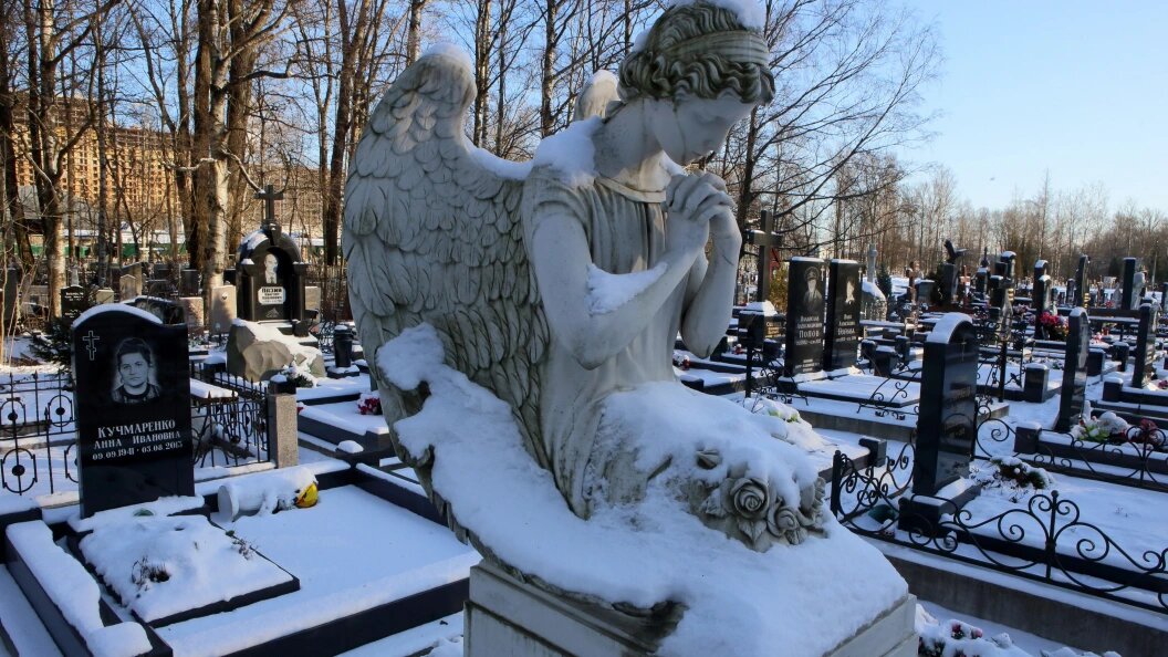    Zamir Usmanov/Globallookpress