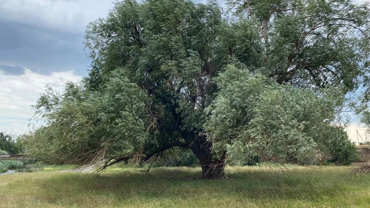     Автор: Telegram-канал Юрия Слюсаря
