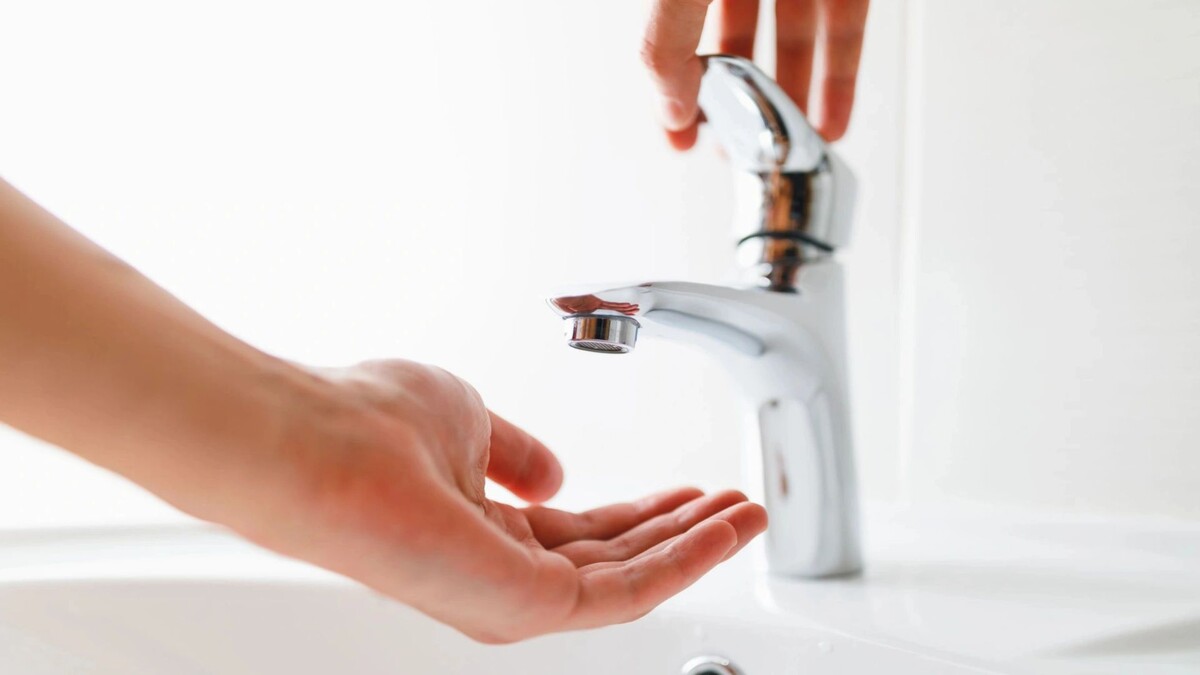    Фото: nikkytok/Shutterstock/Fotodom