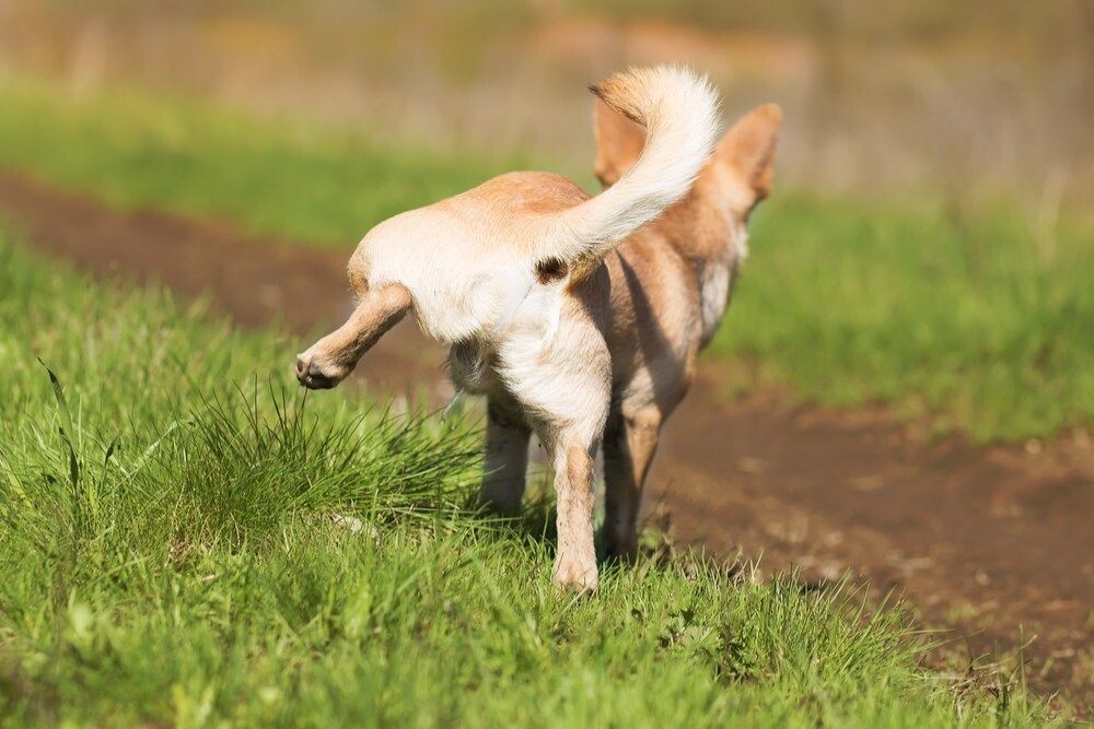 источник фото: https://i.pinimg.com/originals/b5/13/37/b51337a6bc76d660ac1c46a3f3830fa1.jpg