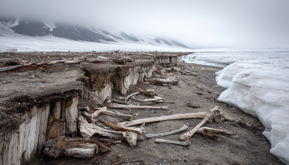   Сгенерировано в Midjourney/NEWS.ru