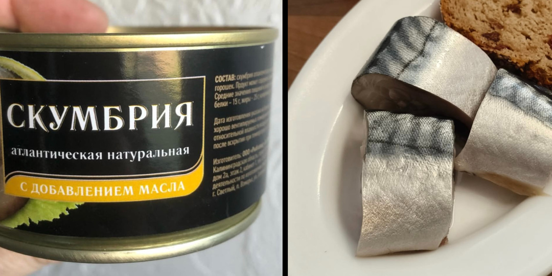 Секрет столетнего онколога: два продукта, укравших у нас здоровье, и наука долголетия