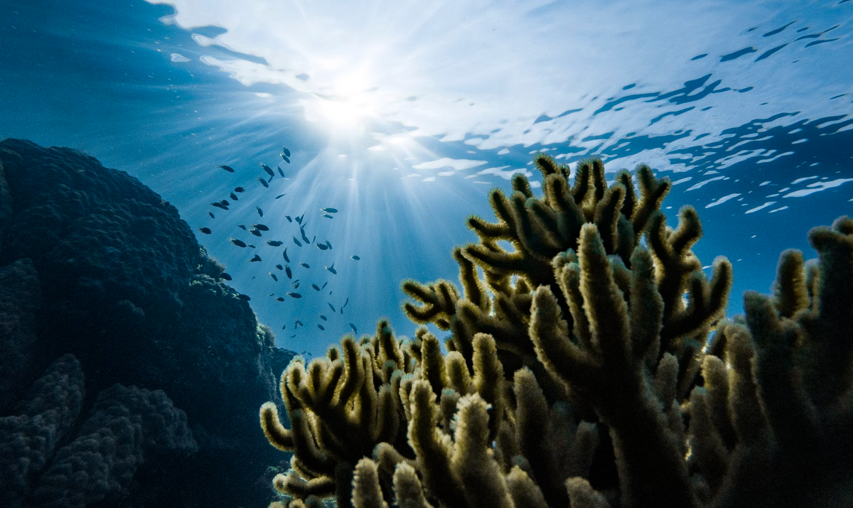     / Источник: ©Marek Okon/unsplas