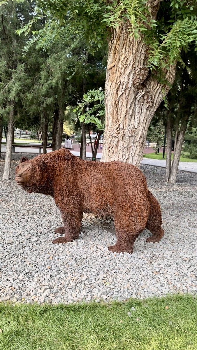 Бурый медведь. Фото автора 