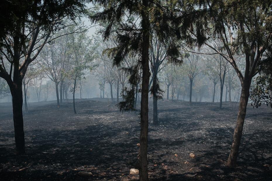    Murat Kocabas/Keystone Press Agency/Global Look Press