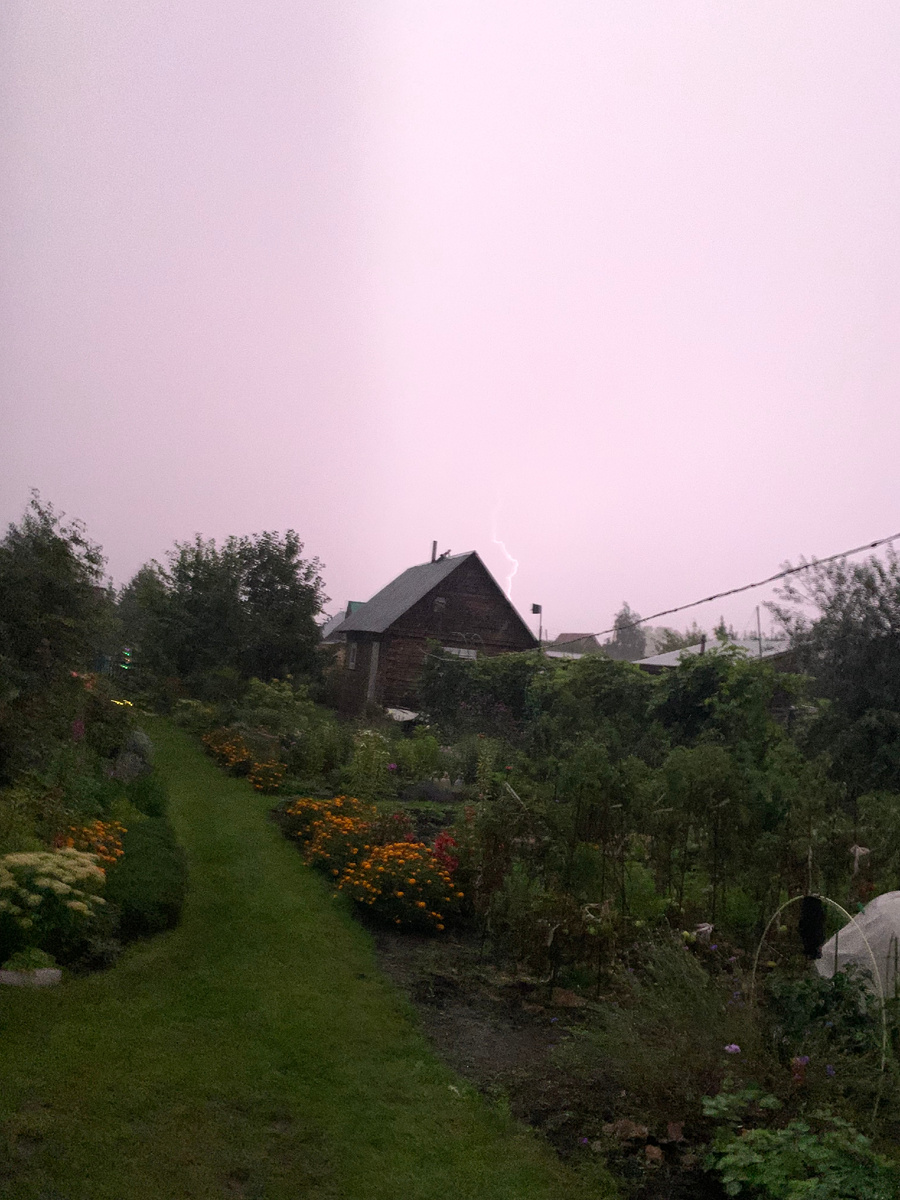 гроза в саду