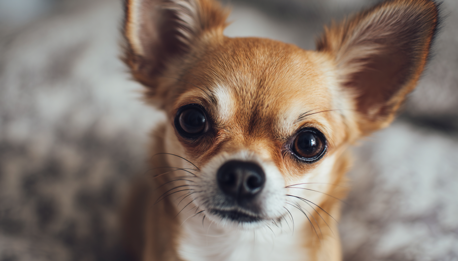    Сгенерировано в Midjourney/NEWS.ru