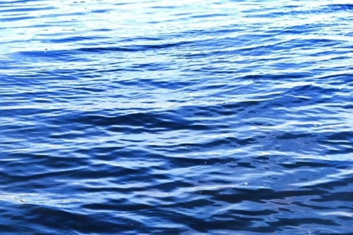    Кондрахин: к смерти участника заплыва на Волге могли привести препараты