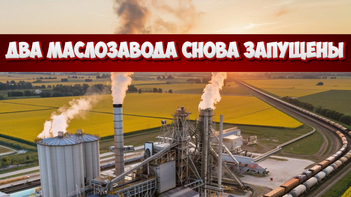 Как "ЭФКО" пережила рыночную турбулентность и почему маслозаводы снова запущены