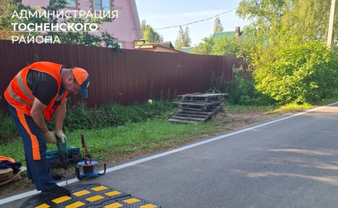    © пресс-служба администрации Тосненского района