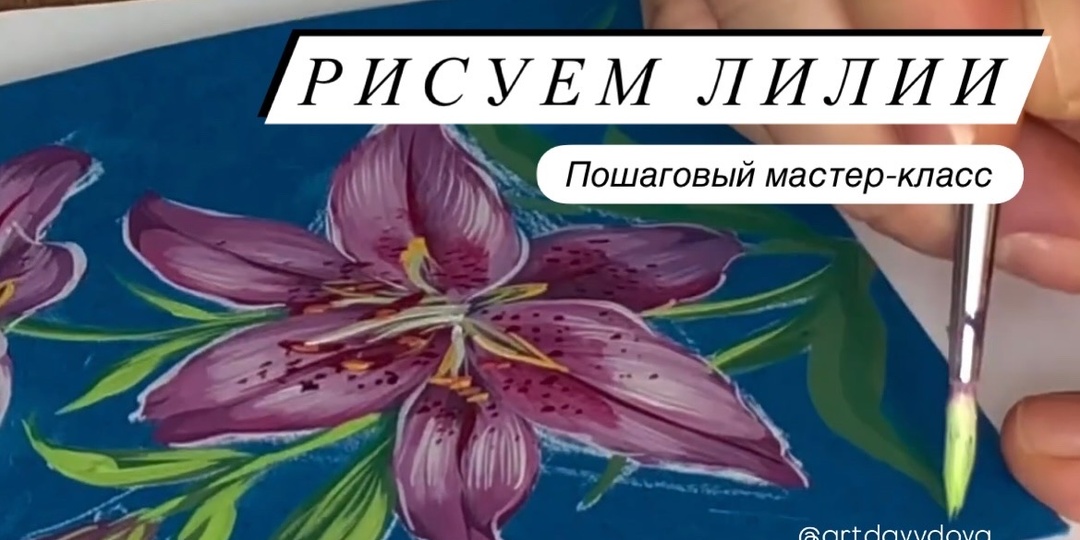 Летняя нежность: рисуем лилии пошагово