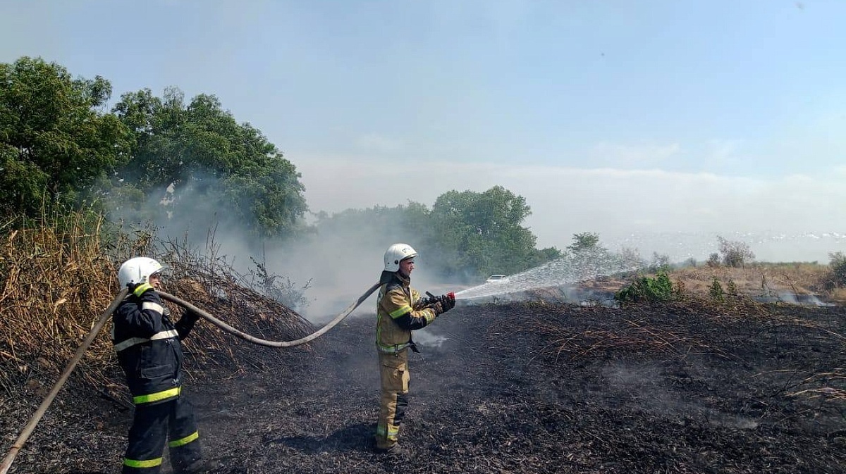 Фото: Пресс-служба администрации Краснодара