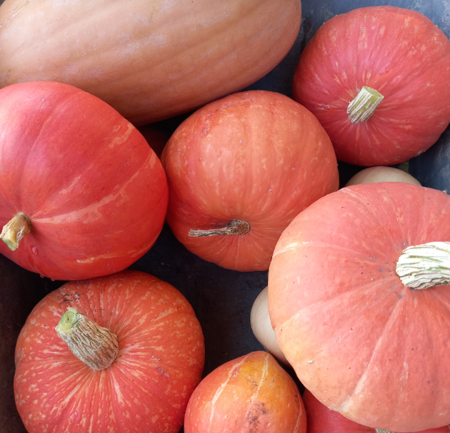 урожай прошлого года