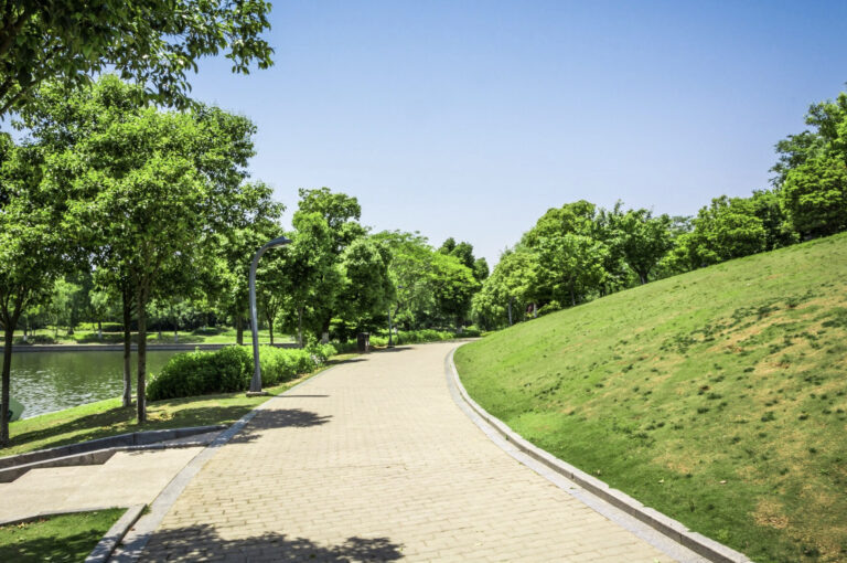    Фото: freepik.com/evening_tao Ольга Чистова