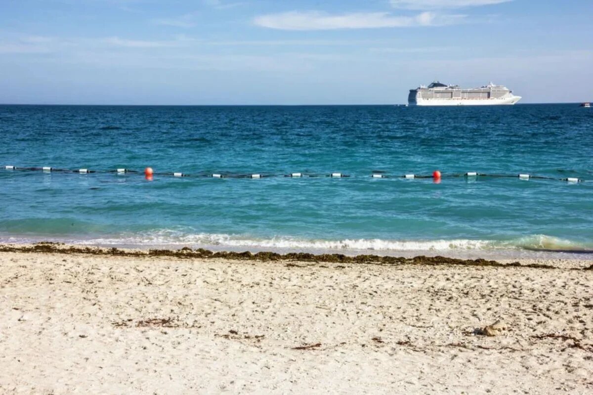    Порт Сир-Бани-Яс с удовольствием посещают все туристы компании MSC. Фото: PAC GROUP