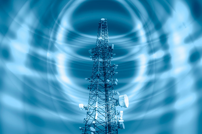    Shutterstock/FOTODOM