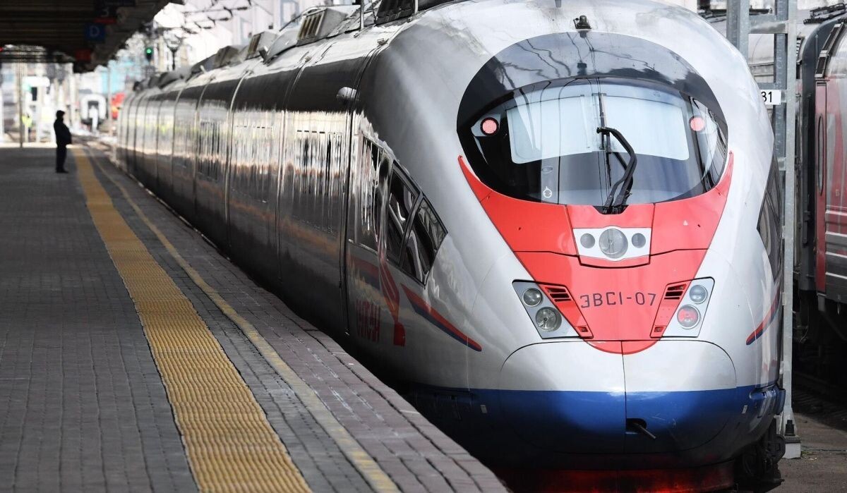     Сапсан. Источник: РИА Новости Автор фото: Михаил Воскресенский