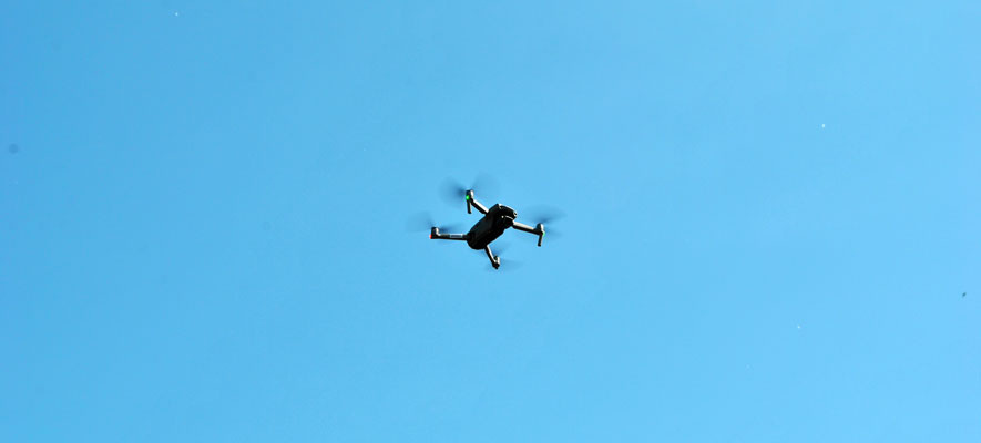    Фото: Максим Алтухов