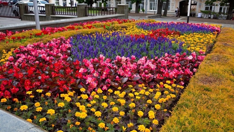      Фото: Администрация Ставрополя