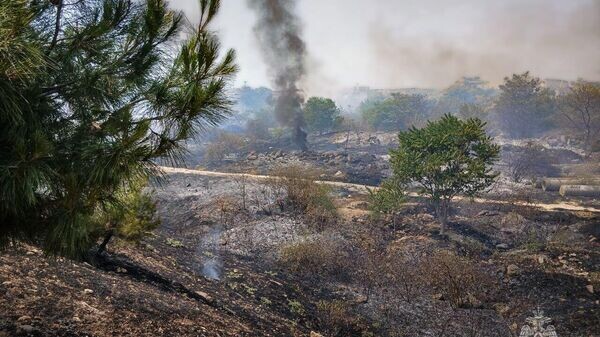    © МЧС России