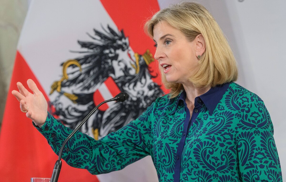    Глава МИД Австрии Беате Майнль-Райзингер / Источник: © IMAGO/Martin Juen/Global Look Press