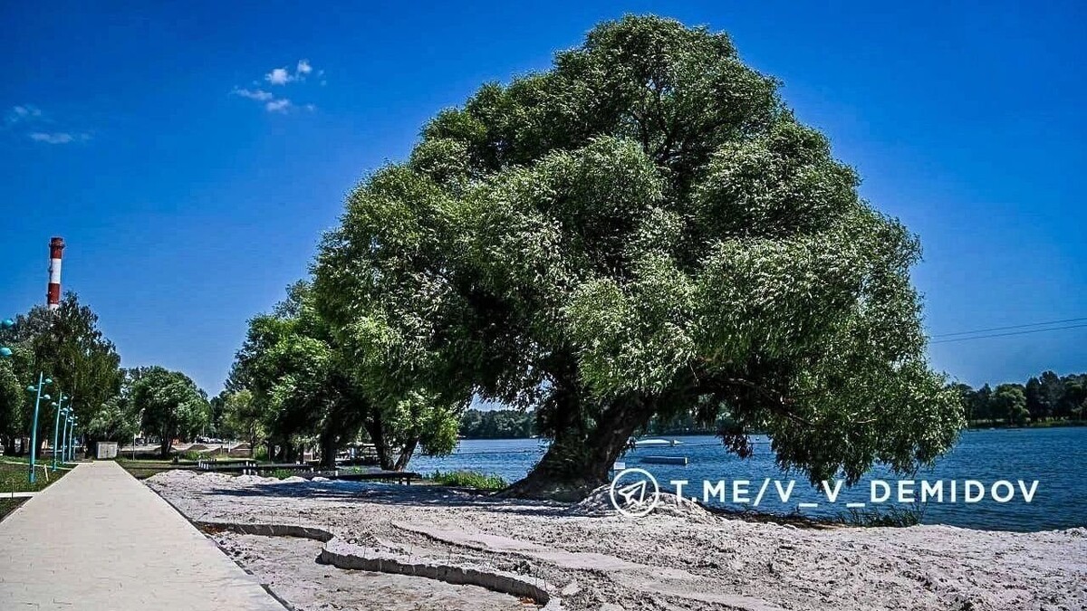     Источник: t.me/v_v_demidov