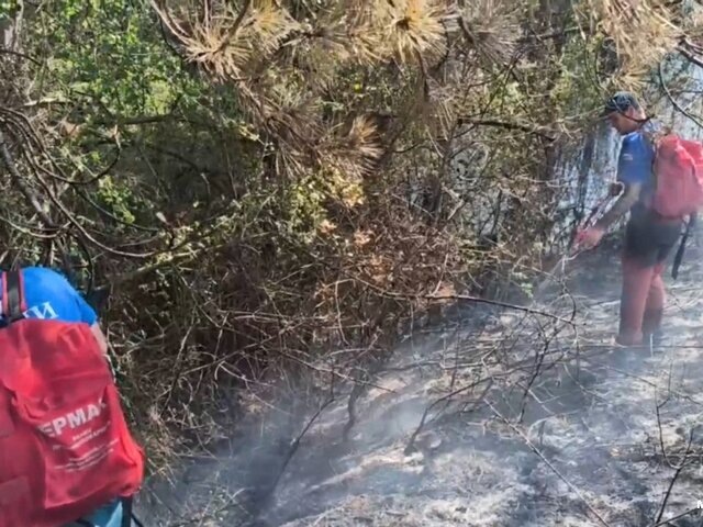    Фото: телеграм-канал "ГУ МЧС России по Республике Крым"