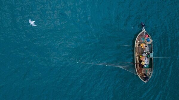    © РИА Новости . Алексей Мальгавко