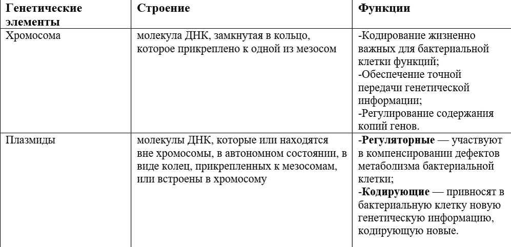 Таблица с краткой характеристикой хромосом и плазмид
