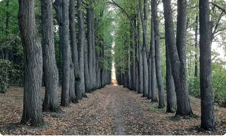 Автор фото: предоставлено местными жителями