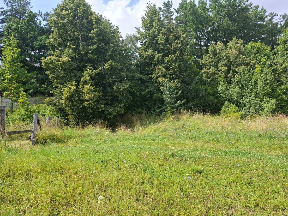 Автор фото: предоставлено местными жителями