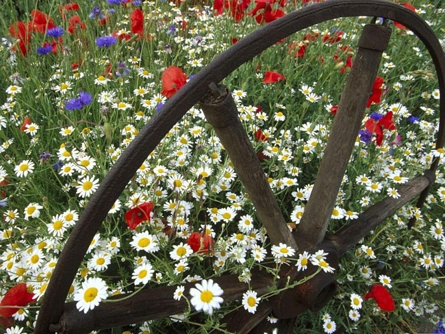 Фото из открытого сезона