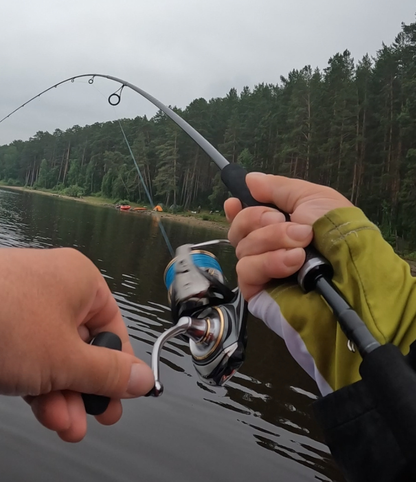 Твичер / Охотник на шерстяных гусениц 