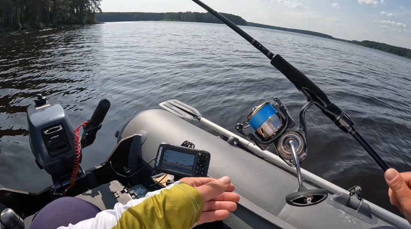 Твичер / Охотник на шерстяных гусениц 