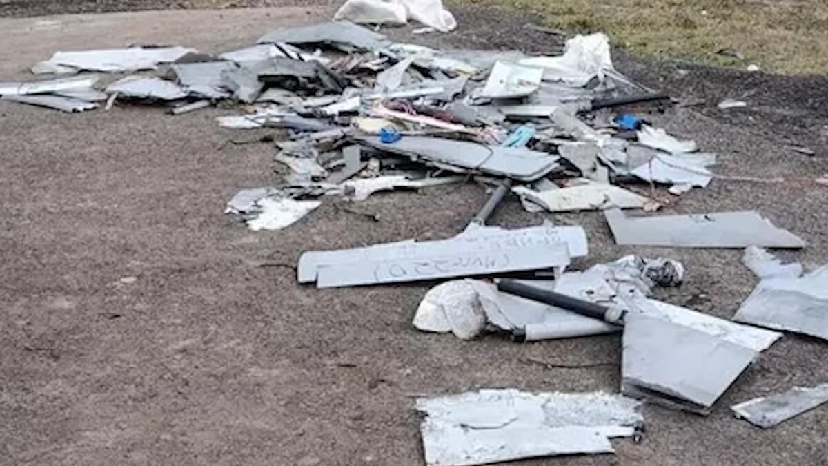    Фото: Alexander Legky/Global Look Press