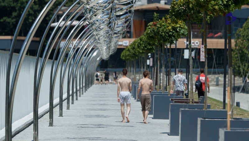      Фото: Дмитрий Ахмадуллин / / ИА «Победа26»